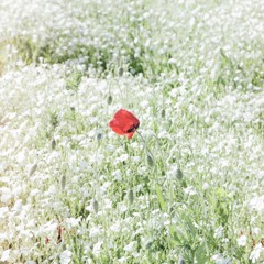 이준형-summer LIVE