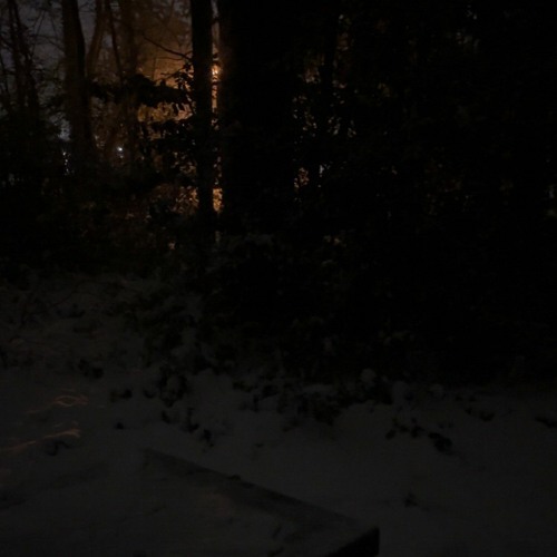 あなたが嫌い​​ですwant to // too