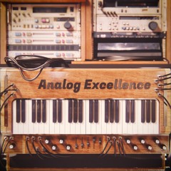 FLEX | Analog Excellence