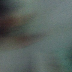 fabrica de insectos : the Luminous Sentinel from the Nyxian Factory