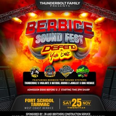 thunder blot sound fest and dance promo