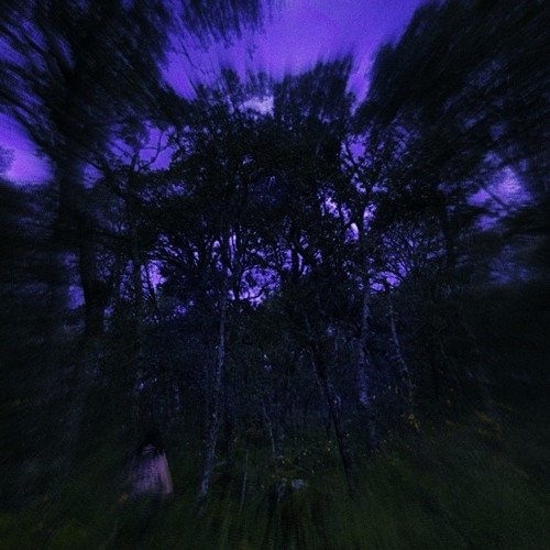 TOXIC TEARS - Don't go (Demo)