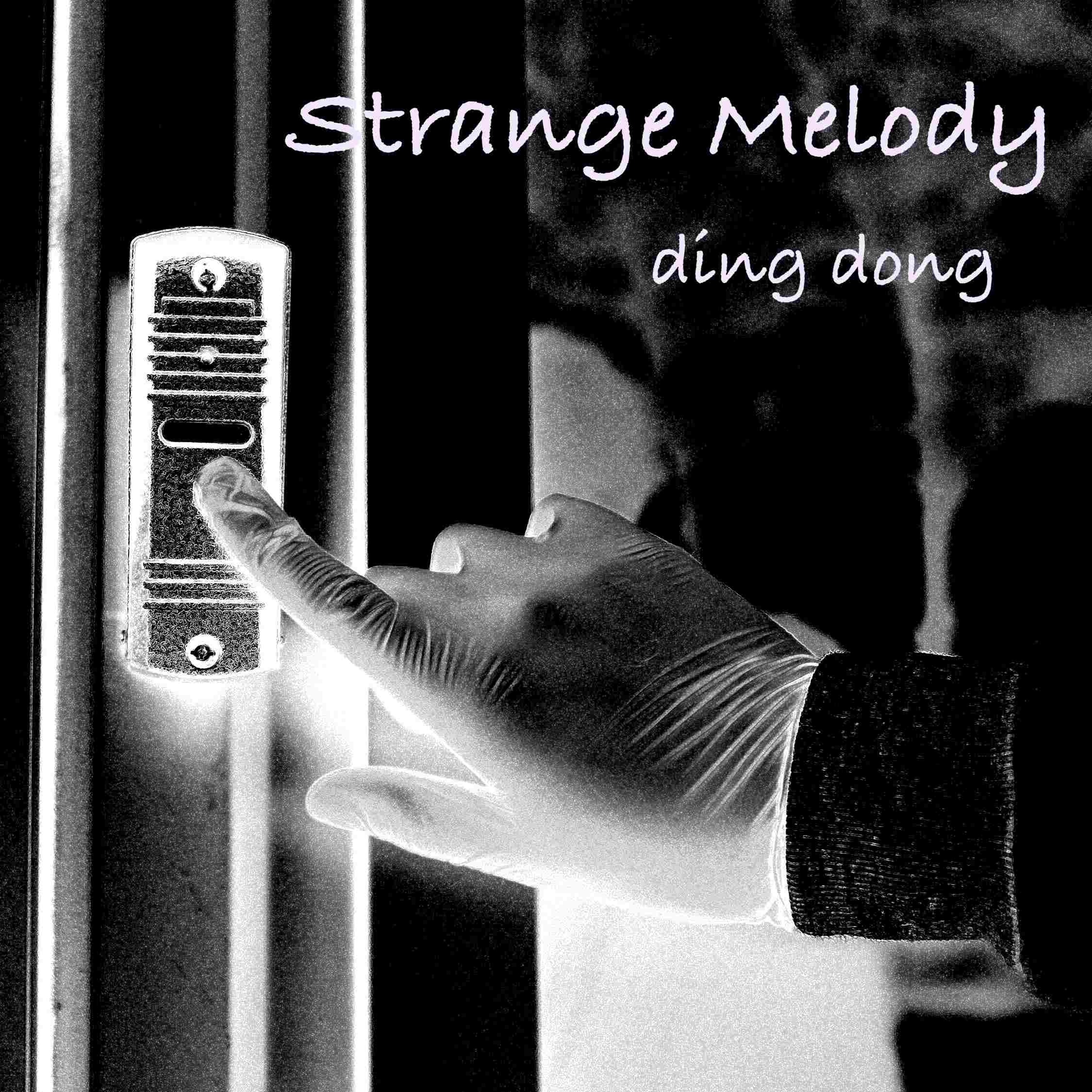 Track cover