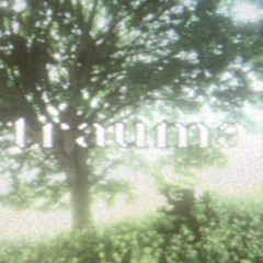 trauma (prod. jaggd dreams)
