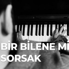 Bir Bilene Mi Sorsak ?