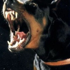 JOHNNY SINS [PROD. YungPickleBasket]