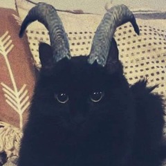 K:OZ