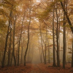Waldgeist