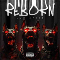 Reborn