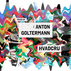 Hvadcru Selectors All Vinyl mix - House/Techno - With Anton Goltermann