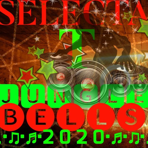 SELECTA T - Jungle Bells 2020