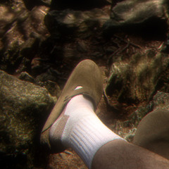 real friends (ROUGH)_mix/master_demo_1