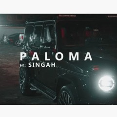 PALOMA  MR.P FT SINGAH MOOMBAYTONY REMIX