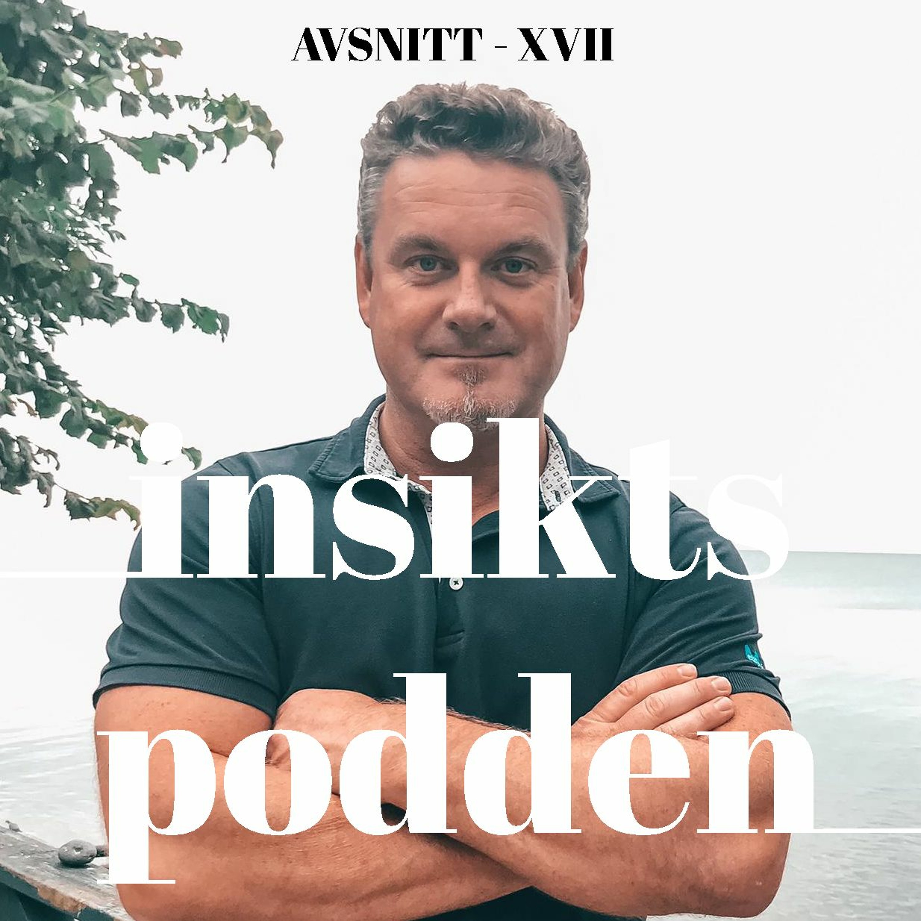 Insiktspodden