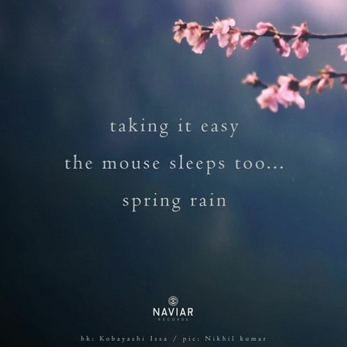 Spring Rain - (naviarhaiku530)