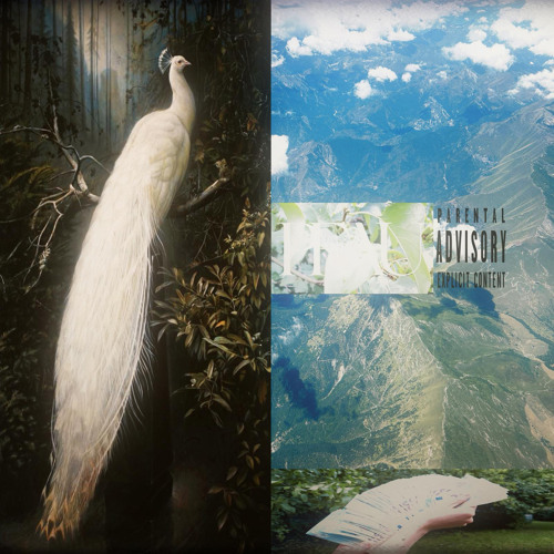 pfau