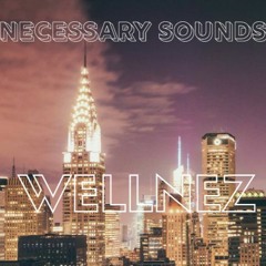 Necessary Sounds