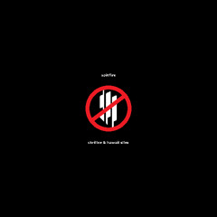 Skrillex - Spitfire ft. hawaii slim [ Noize Complaint Remix ]