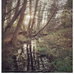 Sun Does Shine MasterA