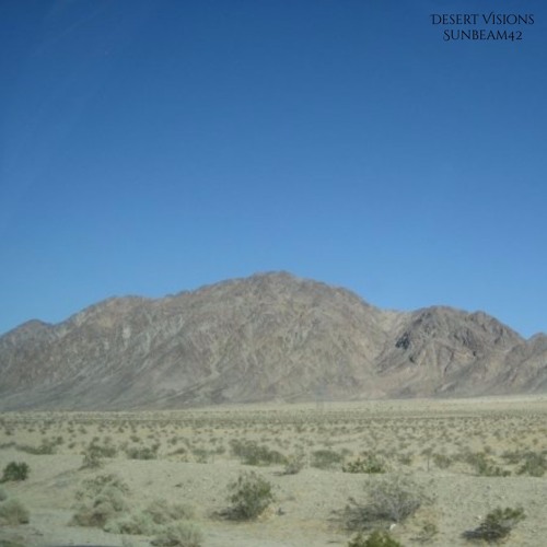 Desert Life