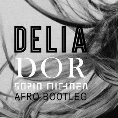 DELIA - DOR ( SORIN MICHNEA AFRO BOOTLEG) 123