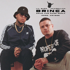 BRINCA (D&B REMIX) PROD. BY KRV666