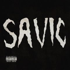 SAVIC 2.5
