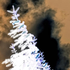 The Man with the Blue Guitar - imagined pine