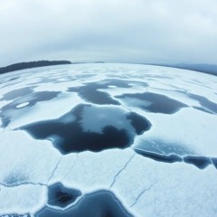 Ink Under Snow