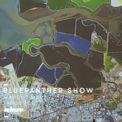 Bluepanther W/ MYAKO / RINSE FR / COSMIC DUB Show