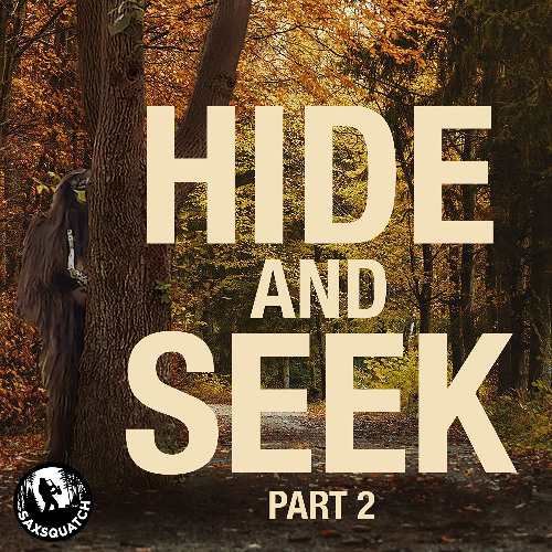 Hide and Seek, Pt. 2