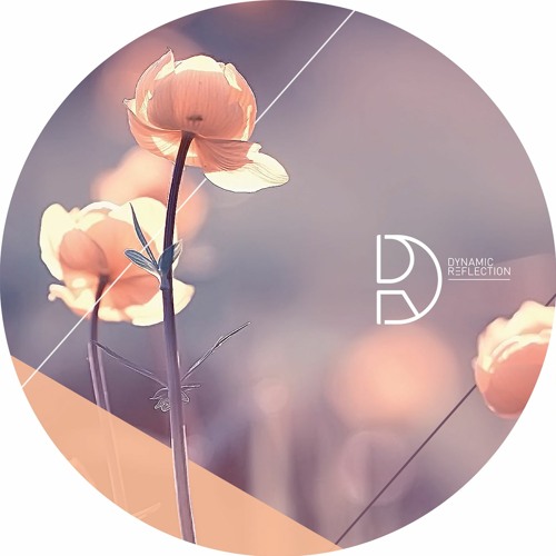 Wrong Assessment - Kamaji (Shifted Remix)