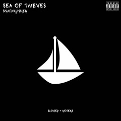 sea of thieves (slowed + reverb)