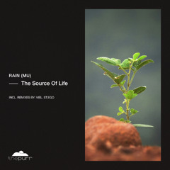 rAin (MU) - The Source Of Life (VieL Remix) [The Purr]
