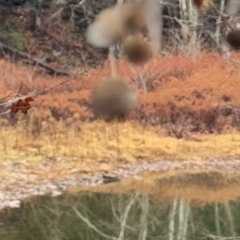 The Stories We Tell Ourselves