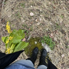 hi and bye | voice memo