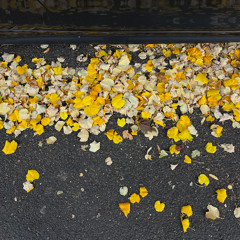 summer into autumn pt 2