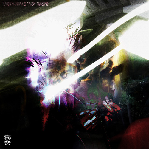 moth. x Internet Libero