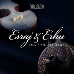 Memories Of Home (Steffen Brinkmann) - Esraj & Erhu - ETHNIC STRING PHRASES - Demo