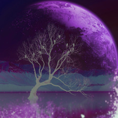 Mad World