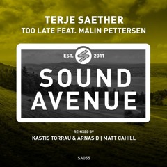 Too Late (feat Malin Pettersen) (Version 2020)