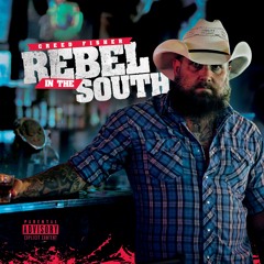 Rebel in the South in Me