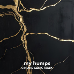 Black Eyed Peas - My Humps (Gin and Sonic Remix)