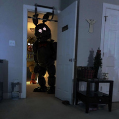 Five nights at Ferni's