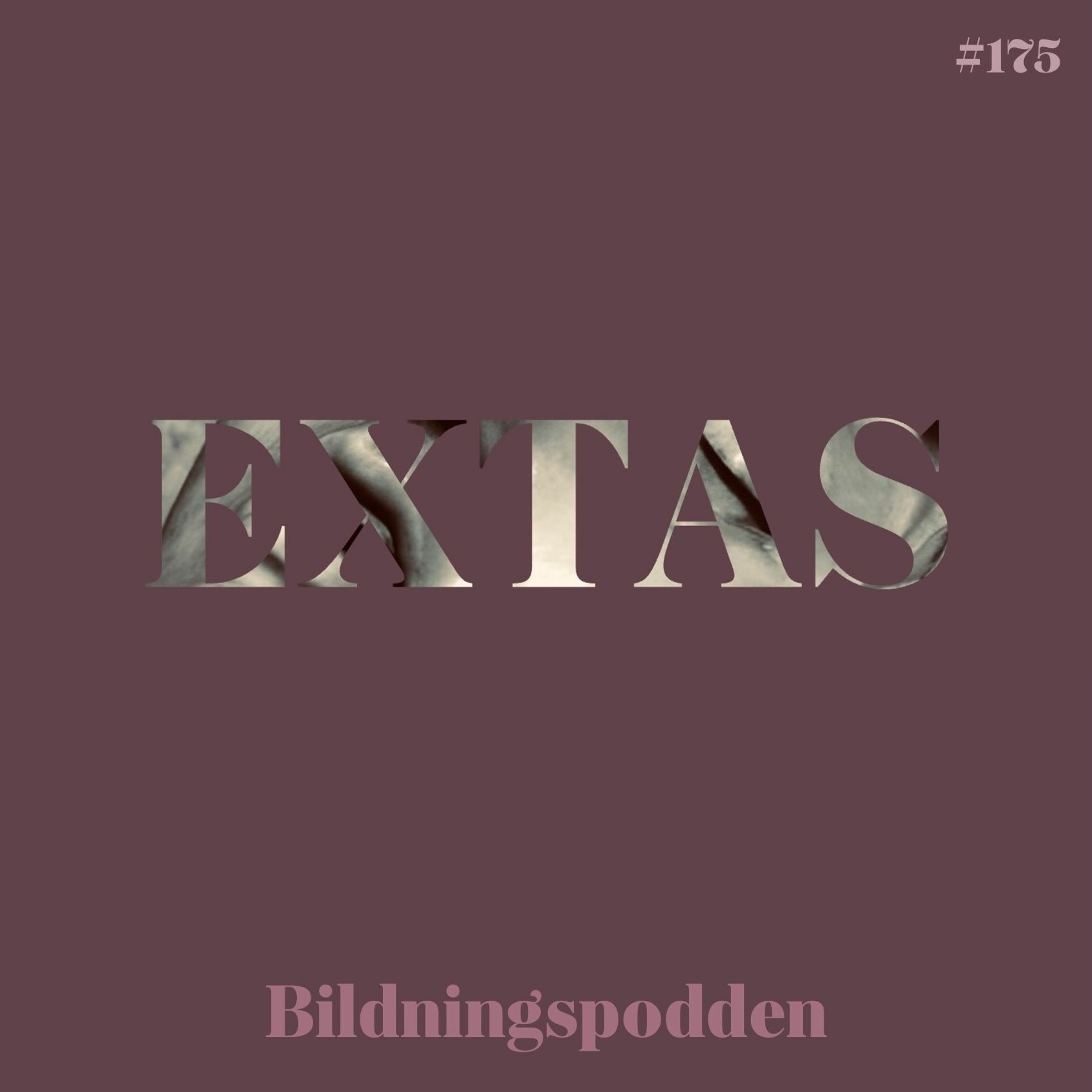 Bildningspodden