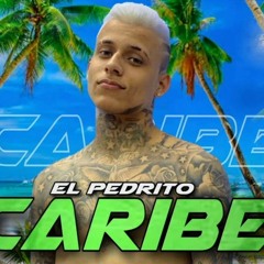 EL Pedrito - Caribe (Áudio Oficial) Trap Music