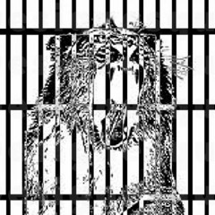 Martin Garrix vs Lil Jon - "Prison Animals"