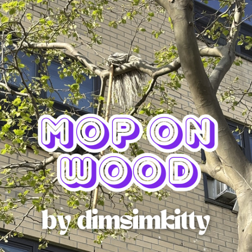 Mop On Wood by dimsimkitty
