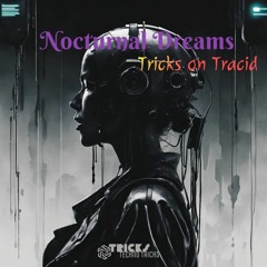 Nocturnal Dreams Vol. 13 - Tricks On Tracid