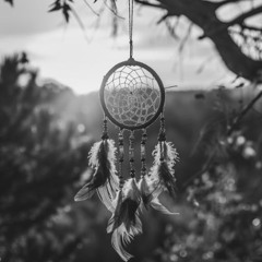 DREAMCATCHER - twig